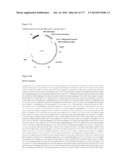 VIRUS-LIKE PARTICLES AND METHODS OF USE diagram and image