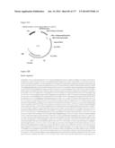 VIRUS-LIKE PARTICLES AND METHODS OF USE diagram and image