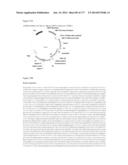 VIRUS-LIKE PARTICLES AND METHODS OF USE diagram and image