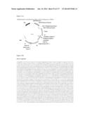 VIRUS-LIKE PARTICLES AND METHODS OF USE diagram and image