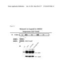 VIRUS-LIKE PARTICLES AND METHODS OF USE diagram and image