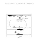 Attenuated Mannheimia haemolytica Vaccines and Methods of Making and Use diagram and image