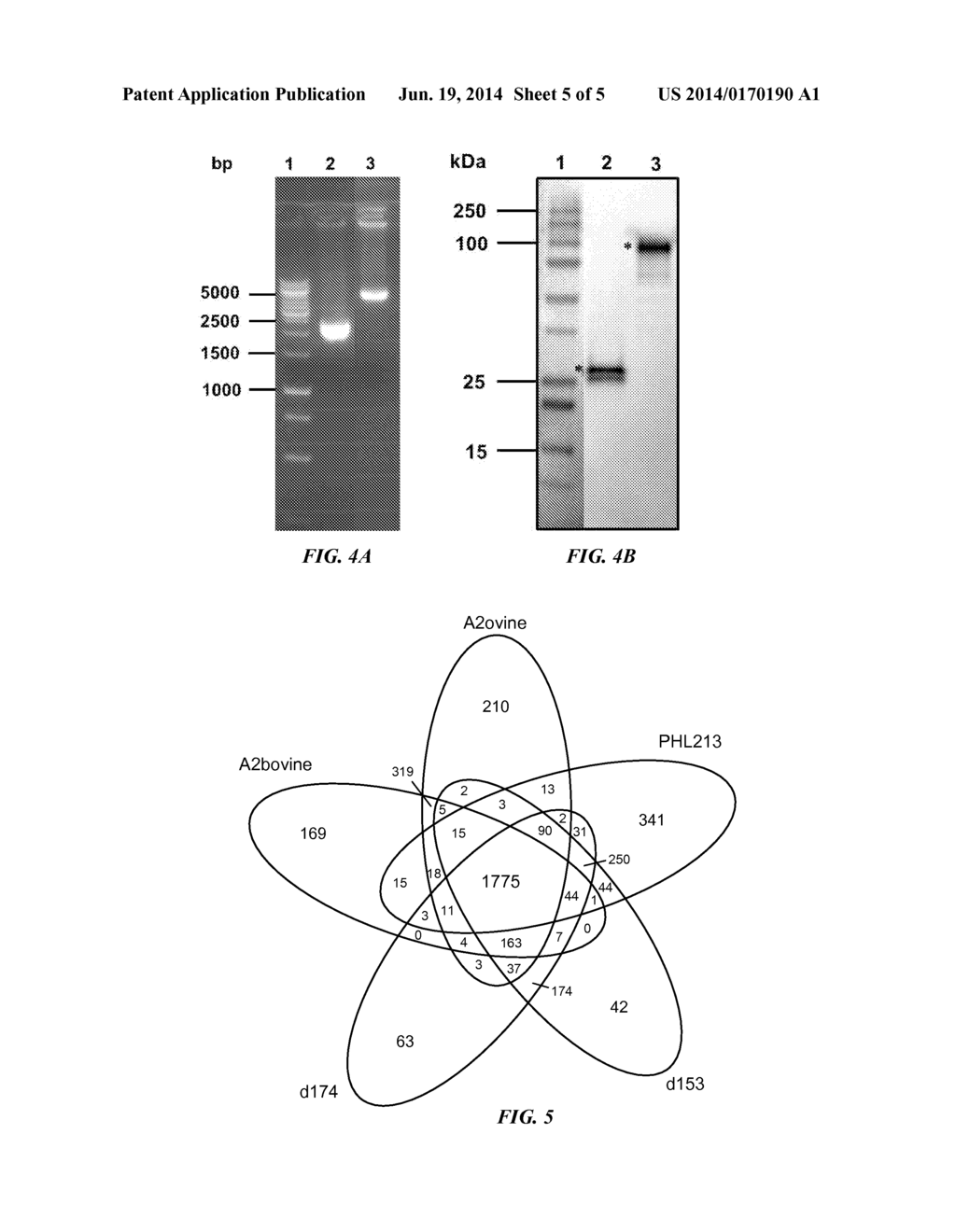 Attenuated Mannheimia haemolytica Vaccines and Methods of Making and Use - diagram, schematic, and image 06