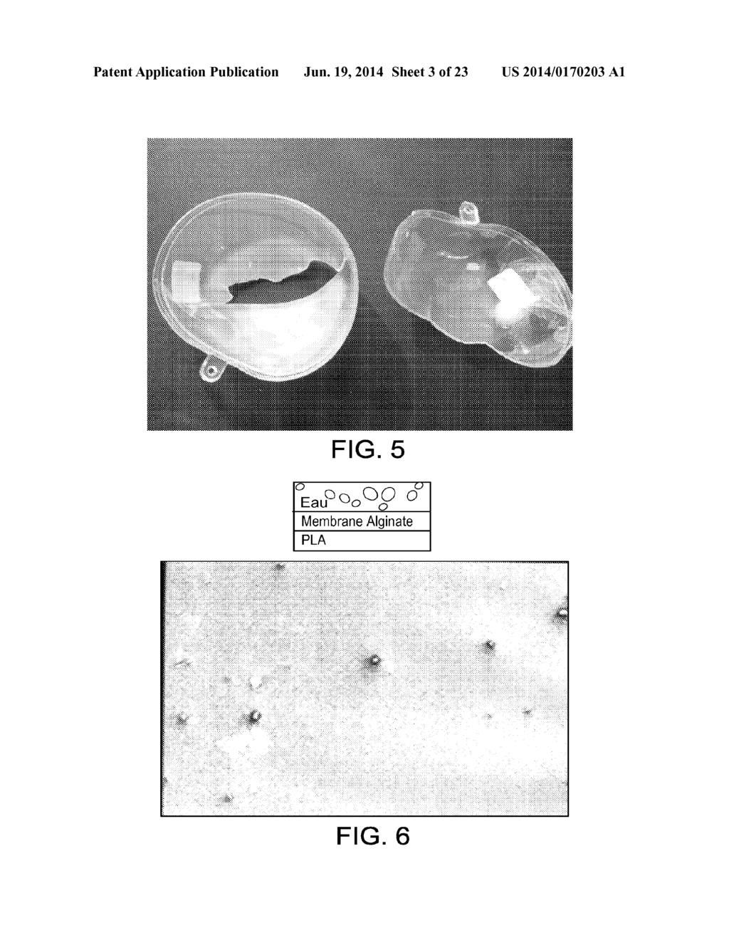 ENCLOSING MATERIALS IN NATURAL TRANSPORT SYSTEMS - diagram, schematic, and image 04