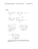 COMPOSITIONS AND IMPROVED SOFT TISSUE REPLACEMENT METHODS diagram and image