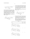 COMPOSITIONS AND IMPROVED SOFT TISSUE REPLACEMENT METHODS diagram and image