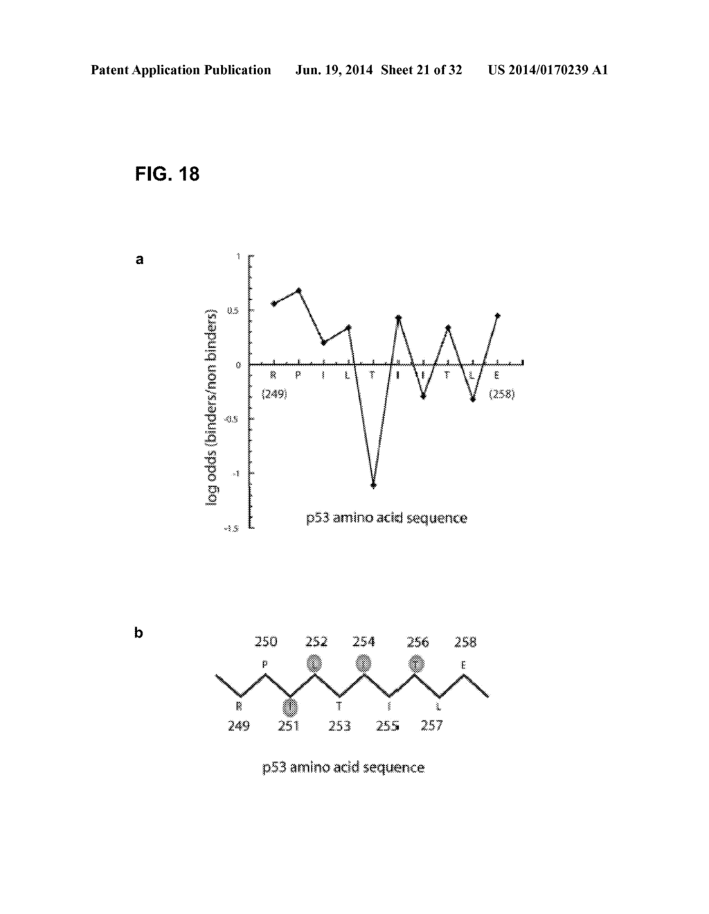 METHODS FOR SCREENING INHIBITORS OF TUMOR ASSOCIATED PROTEIN AGGREGATION - diagram, schematic, and image 22