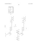 3,5-DIAMINO-6-CHLORO-N-(N-(4-PHENYLBUTYL)CARBAMIMIDOYL) PYRAZINE-2-     CARBOXAMIDE COMPOUNDS diagram and image