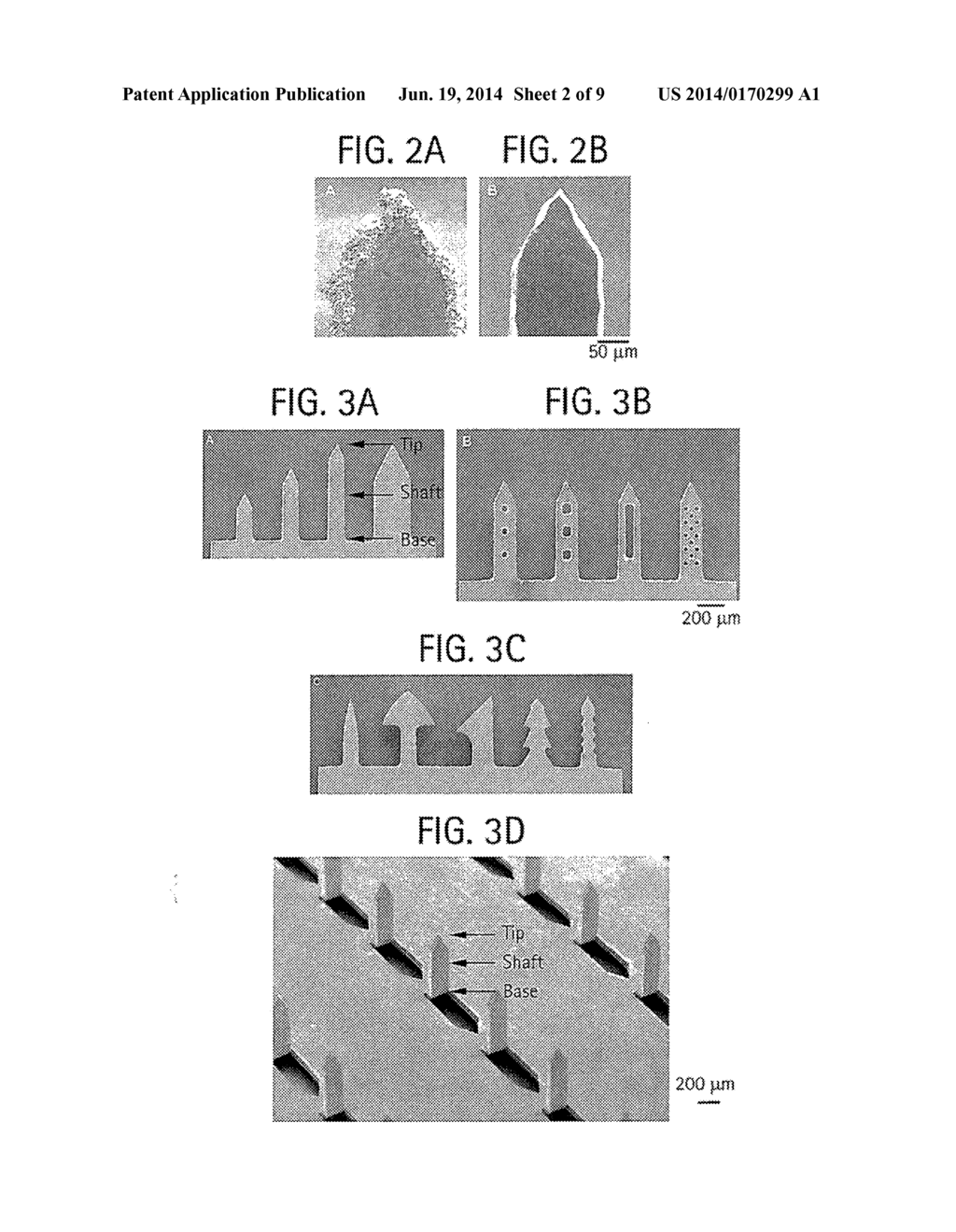 METHOD OF MAKING COATED MICROSTRUCTURES - diagram, schematic, and image 03