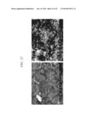 METHOD OF MAKING RHENIUM COATING diagram and image