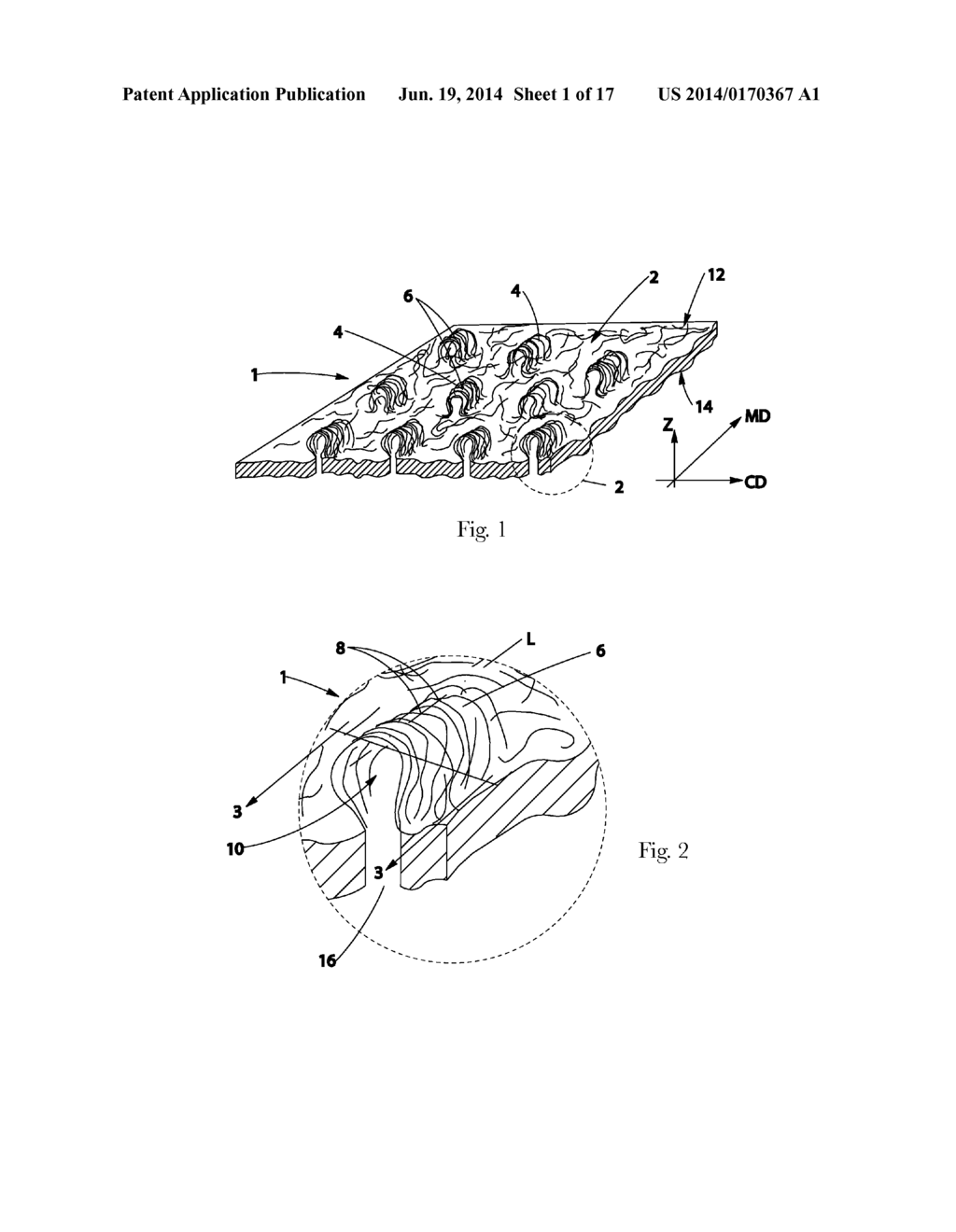 TUFTED FIBROUS WEB - diagram, schematic, and image 02