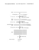 UNIVERSAL SAMPLE PREPARATION SYSTEM AND USE IN AN INTEGRATED ANALYSIS     SYSTEM diagram and image