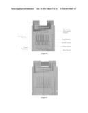 UNIVERSAL SAMPLE PREPARATION SYSTEM AND USE IN AN INTEGRATED ANALYSIS     SYSTEM diagram and image