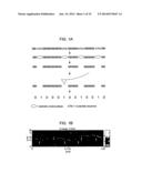 Compositions and Methods for Analyzing Immobilized Nucleic Acids diagram and image