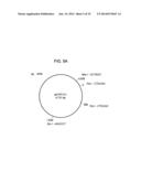 Compositions and Methods for Analyzing Immobilized Nucleic Acids diagram and image