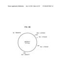 Compositions and Methods for Analyzing Immobilized Nucleic Acids diagram and image