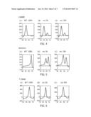 Probe for Detection of Polymorphism in EGFR Gene, Amplification Primer,     and Use Thereof diagram and image