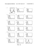 Probe for Detection of Polymorphism in EGFR Gene, Amplification Primer,     and Use Thereof diagram and image