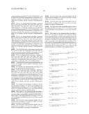 Probe for Detection of Polymorphism in EGFR Gene, Amplification Primer,     and Use Thereof diagram and image