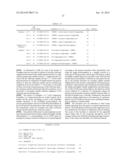 Probe for Detection of Polymorphism in EGFR Gene, Amplification Primer,     and Use Thereof diagram and image