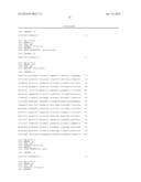 Probe for Detection of Polymorphism in EGFR Gene, Amplification Primer,     and Use Thereof diagram and image