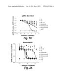 MONOCLONAL AND OLIGOCLONAL ANTI-EGFR ANTIBODIES FOR USE IN THE TREATMENT     OF TUMORS EXPRESSING PREDOMINANTLY HIGH AFFINITY EGFR LIGANDS OR TUMORS     EXPRESSING PREDOMINANTLY LOW AFFINITY EGFR LIGANDS diagram and image