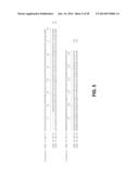 Methods, Devices, Kits and Compositions for Detecting Roundworm diagram and image