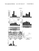 BIOMARKER OF ASBESTOS EXPOSURE AND MESOTHELIOMA diagram and image