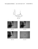 Biological cell nanocavity probes diagram and image