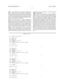 METHOD AND APPARATUS FOR AMPLIFICATION OF NUCLEIC ACID SEQUENCES BY USING     THERMAL CONVECTION diagram and image