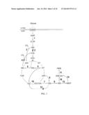 POST PROCESS PURIFICATION FOR GAMMA-BUTYROLACTONE PRODUCTION diagram and image