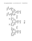 Factor IX:  Remodeling and Glycoconjugation of Factor IX diagram and image