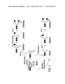 Factor IX:  Remodeling and Glycoconjugation of Factor IX diagram and image