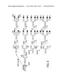 Factor IX:  Remodeling and Glycoconjugation of Factor IX diagram and image