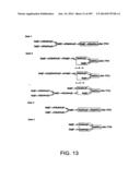 Factor IX:  Remodeling and Glycoconjugation of Factor IX diagram and image