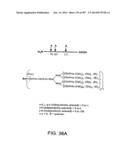 Factor IX:  Remodeling and Glycoconjugation of Factor IX diagram and image