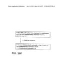 Factor IX:  Remodeling and Glycoconjugation of Factor IX diagram and image