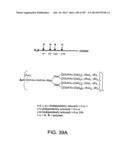 Factor IX:  Remodeling and Glycoconjugation of Factor IX diagram and image