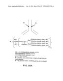 Factor IX:  Remodeling and Glycoconjugation of Factor IX diagram and image