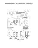 Factor IX:  Remodeling and Glycoconjugation of Factor IX diagram and image