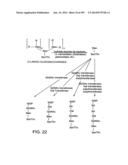 Factor IX:  Remodeling and Glycoconjugation of Factor IX diagram and image