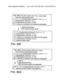 Factor IX:  Remodeling and Glycoconjugation of Factor IX diagram and image