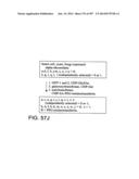 Factor IX:  Remodeling and Glycoconjugation of Factor IX diagram and image