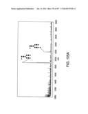 Factor IX:  Remodeling and Glycoconjugation of Factor IX diagram and image