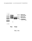 Factor IX:  Remodeling and Glycoconjugation of Factor IX diagram and image