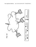 Factor IX:  Remodeling and Glycoconjugation of Factor IX diagram and image