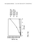 Factor IX:  Remodeling and Glycoconjugation of Factor IX diagram and image