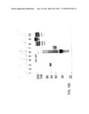 Factor IX:  Remodeling and Glycoconjugation of Factor IX diagram and image