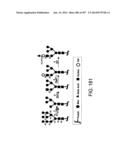 Factor IX:  Remodeling and Glycoconjugation of Factor IX diagram and image