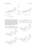 Factor IX:  Remodeling and Glycoconjugation of Factor IX diagram and image